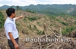 Hương Khê "nóng" chuyện đất rừng (Bài 1): Lấn chiếm khắp nơi